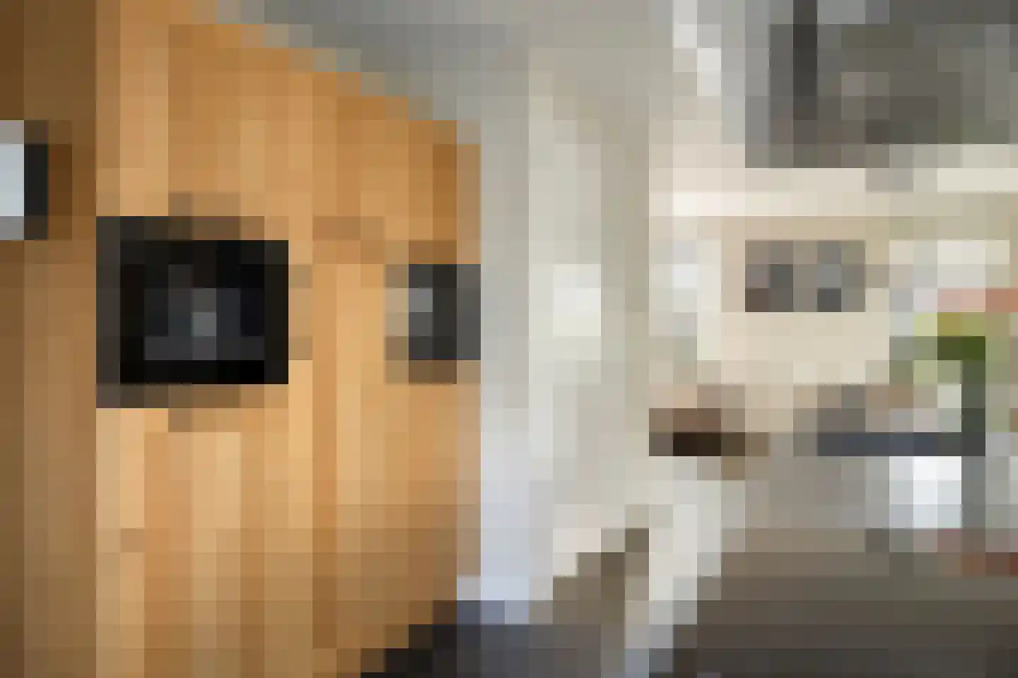 Eikenlaan 3 Ooltgensplaat thumbnail 13