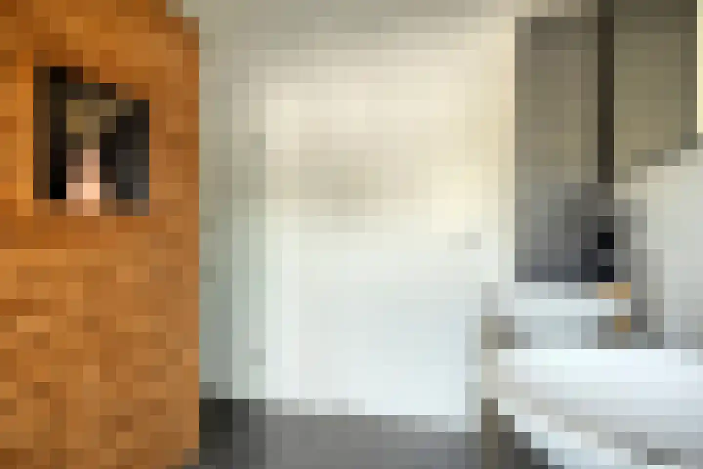 Eikenlaan 3 Ooltgensplaat thumbnail 21