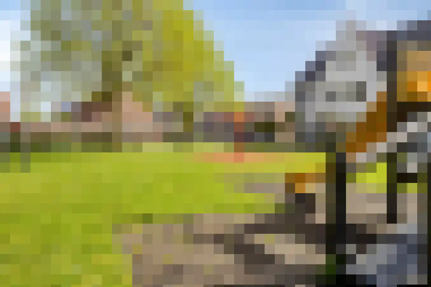 Eikenlaan 3 Ooltgensplaat thumbnail 37