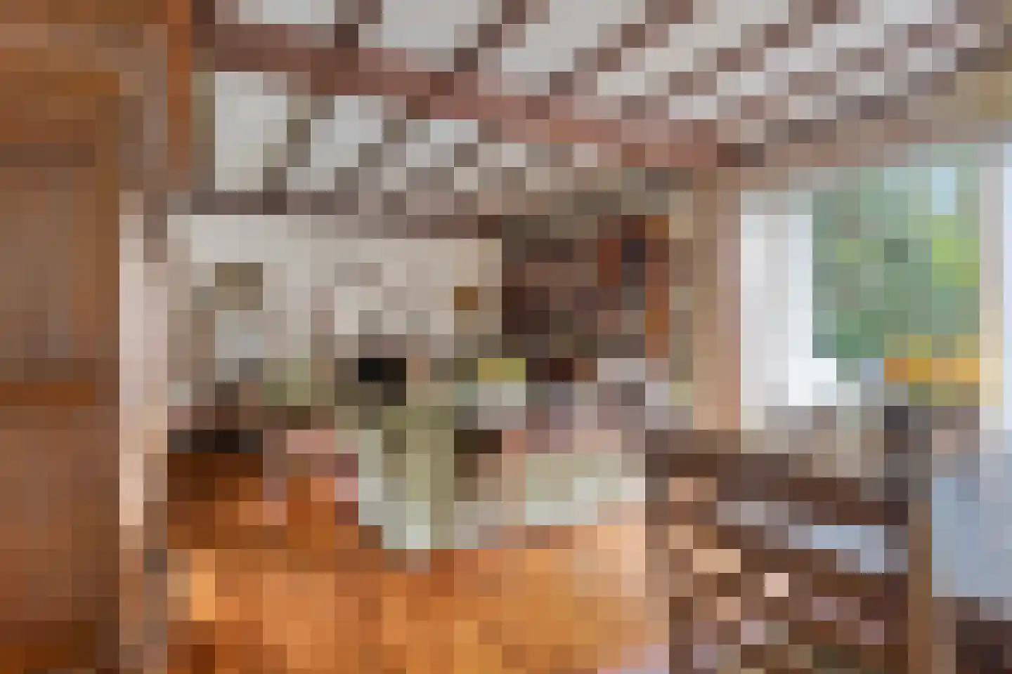 Eikenlaan 3 Ossendrecht thumbnail 10
