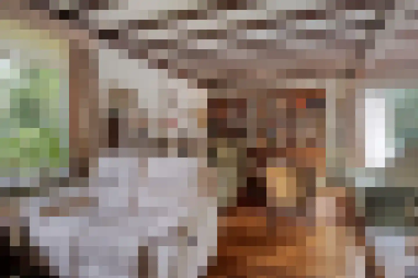 Eikenlaan 3 Ossendrecht thumbnail 12