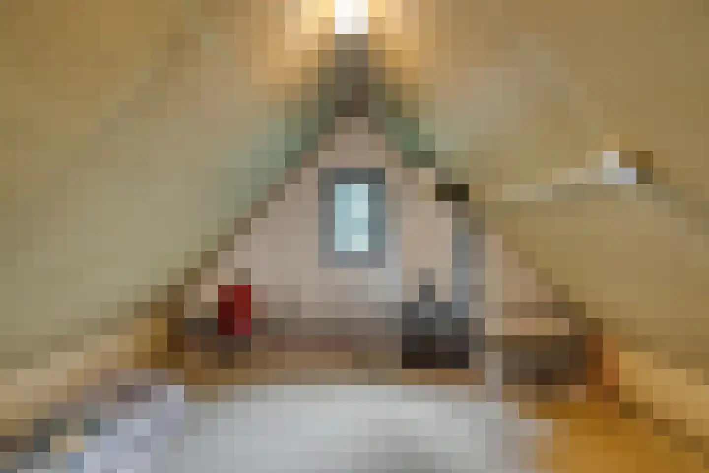 Eikenlaan 3 Ossendrecht thumbnail 34