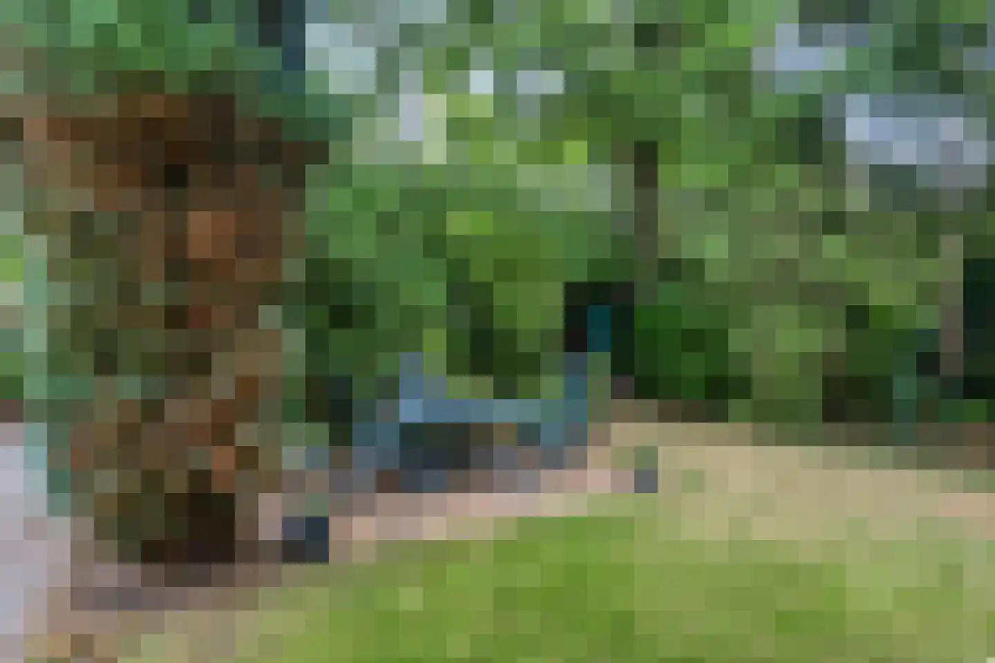 Eikenlaan 3 Ossendrecht thumbnail 43