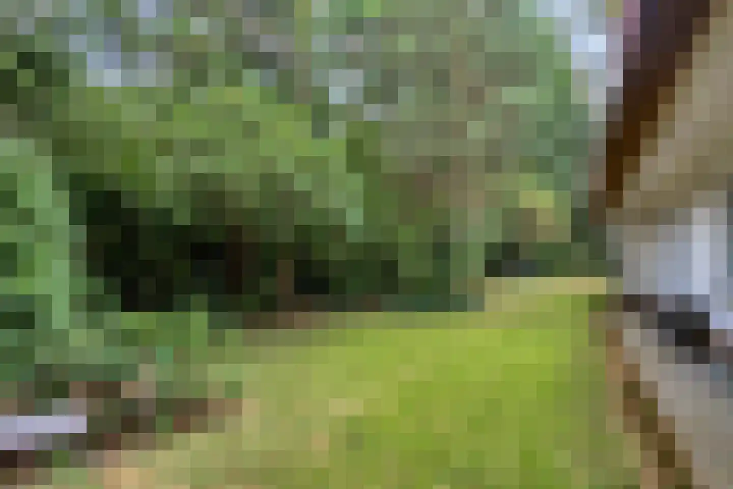 Eikenlaan 3 Ossendrecht thumbnail 44