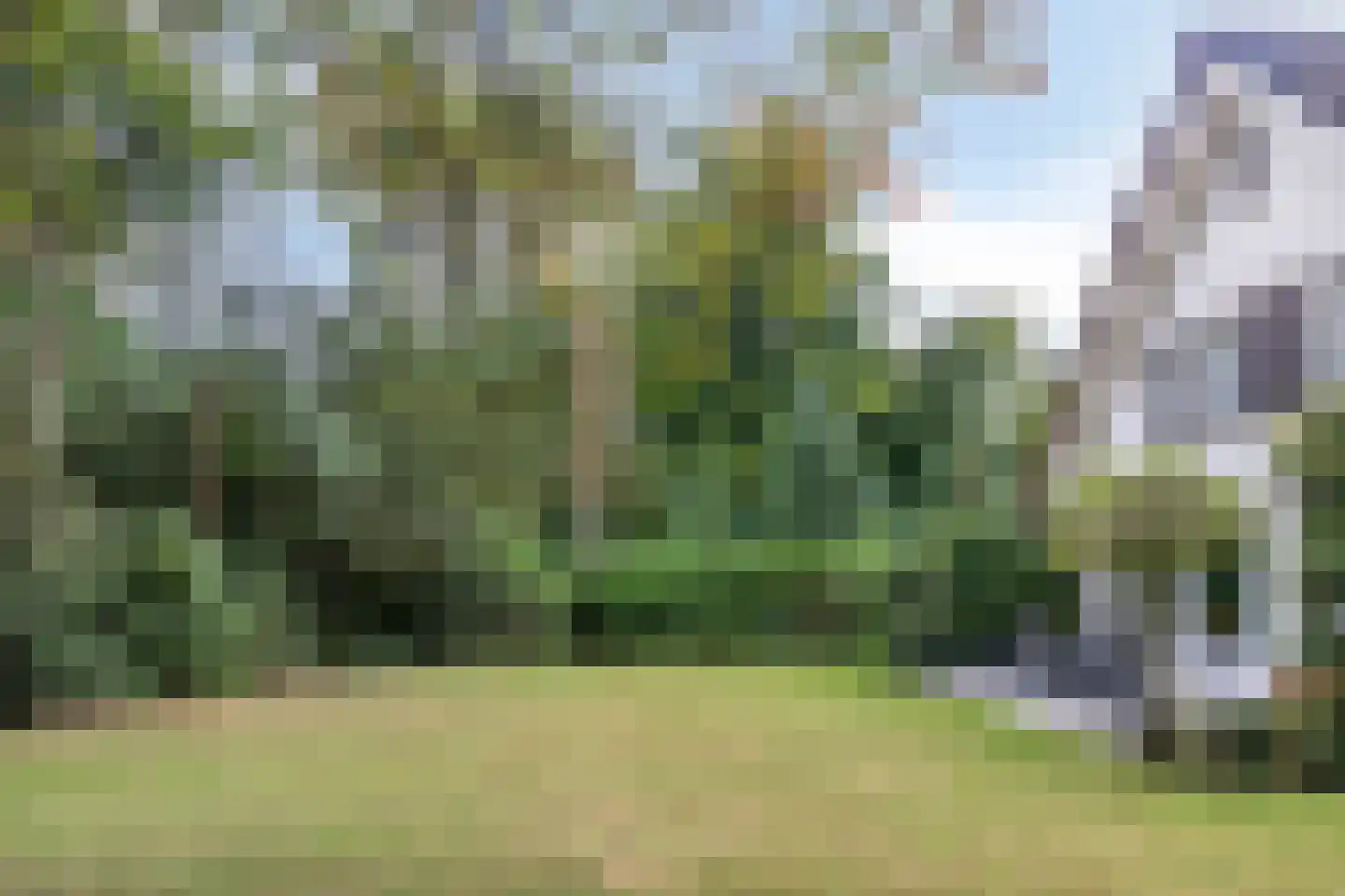 Eikenlaan 3 Ossendrecht thumbnail 45
