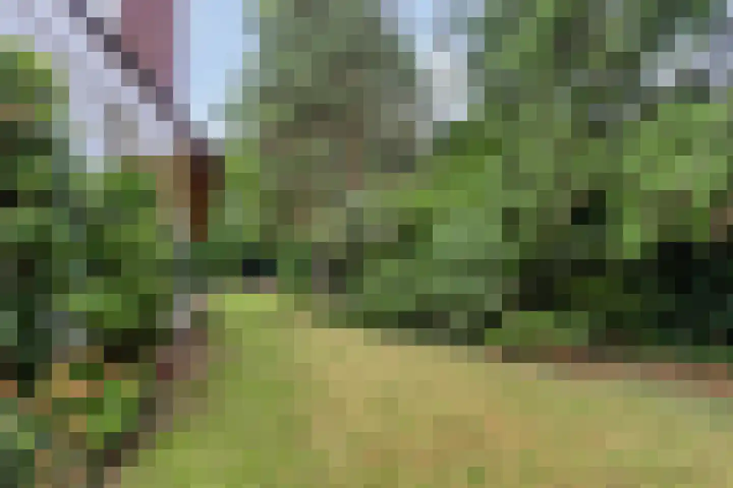 Eikenlaan 3 Ossendrecht thumbnail 46