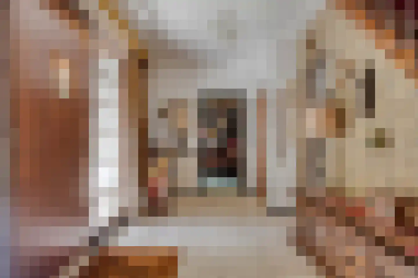 Eikenlaan 3 Ossendrecht thumbnail 8
