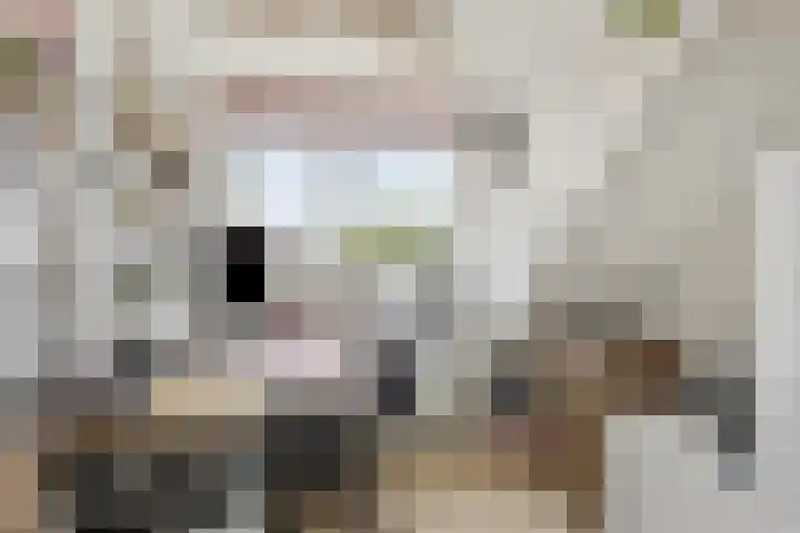 Eikenlaan 3 Roosendaal thumbnail 19