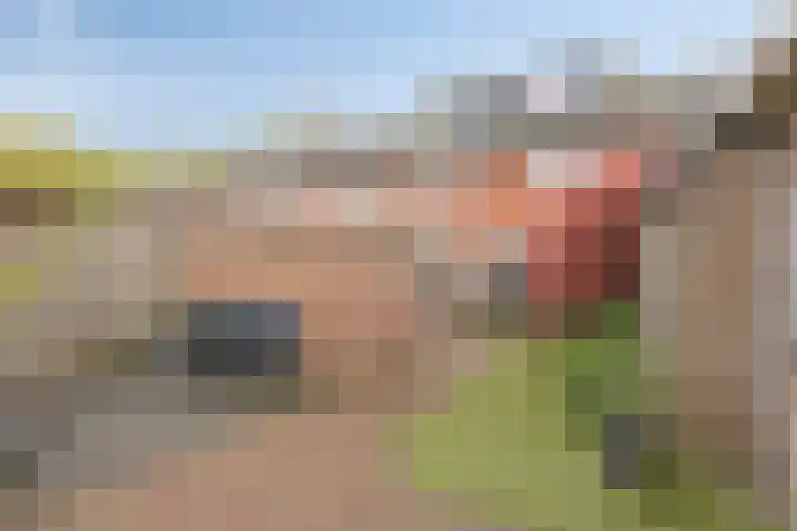 Eikenlaan 3 Roosendaal thumbnail 20