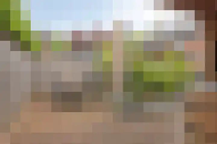 Eikenlaan 3 Roosendaal thumbnail 21