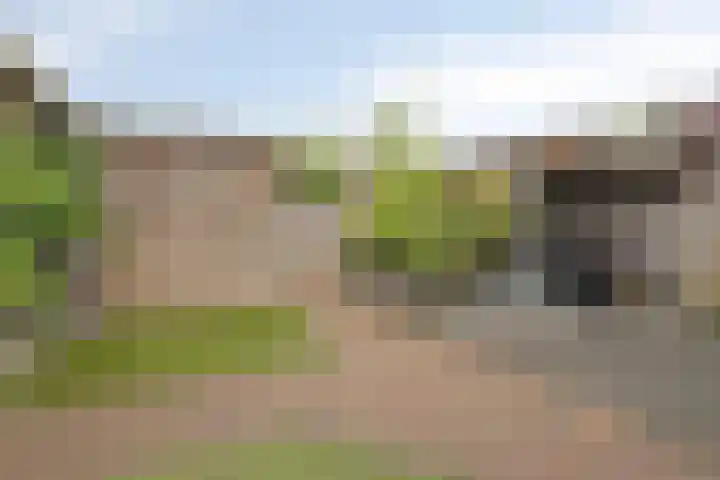 Eikenlaan 3 Roosendaal thumbnail 23