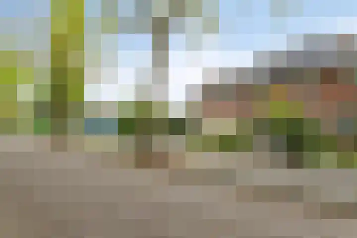 Eikenlaan 3 Roosendaal thumbnail 27