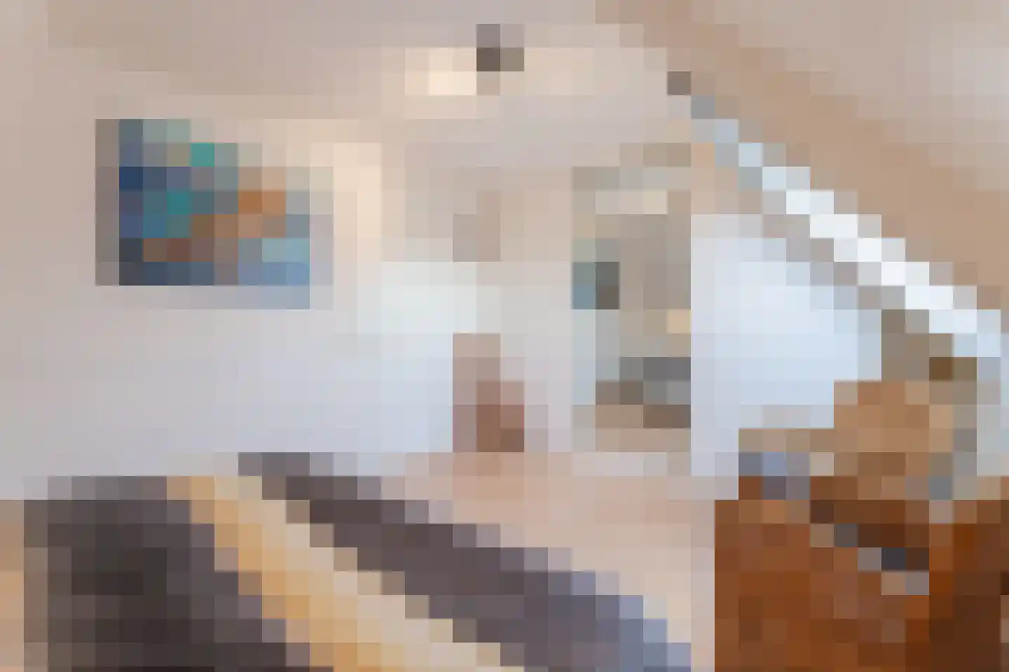 Eikenlaan 3 Ruurlo thumbnail 21