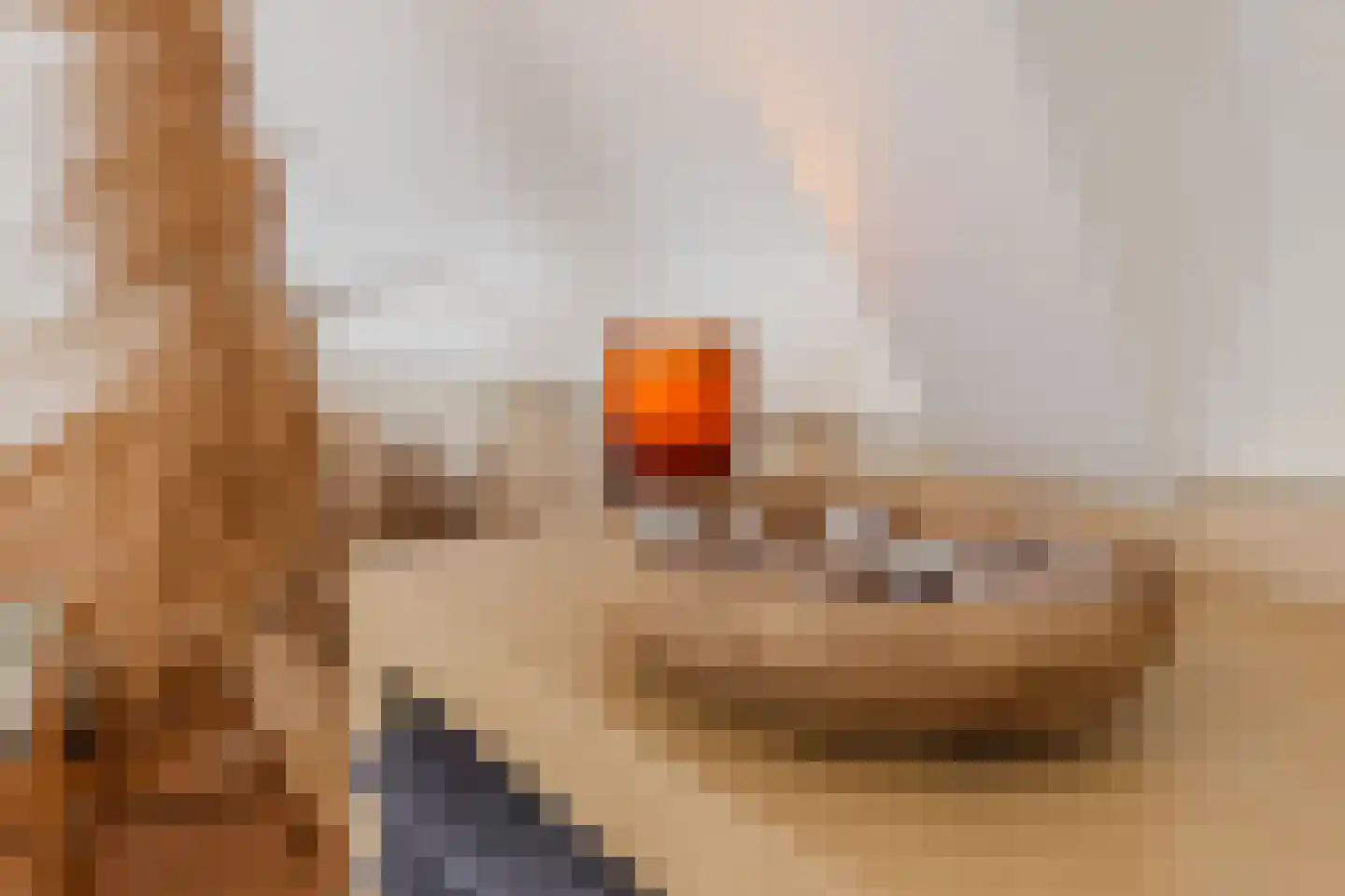 Eikenlaan 3 Ruurlo thumbnail 25