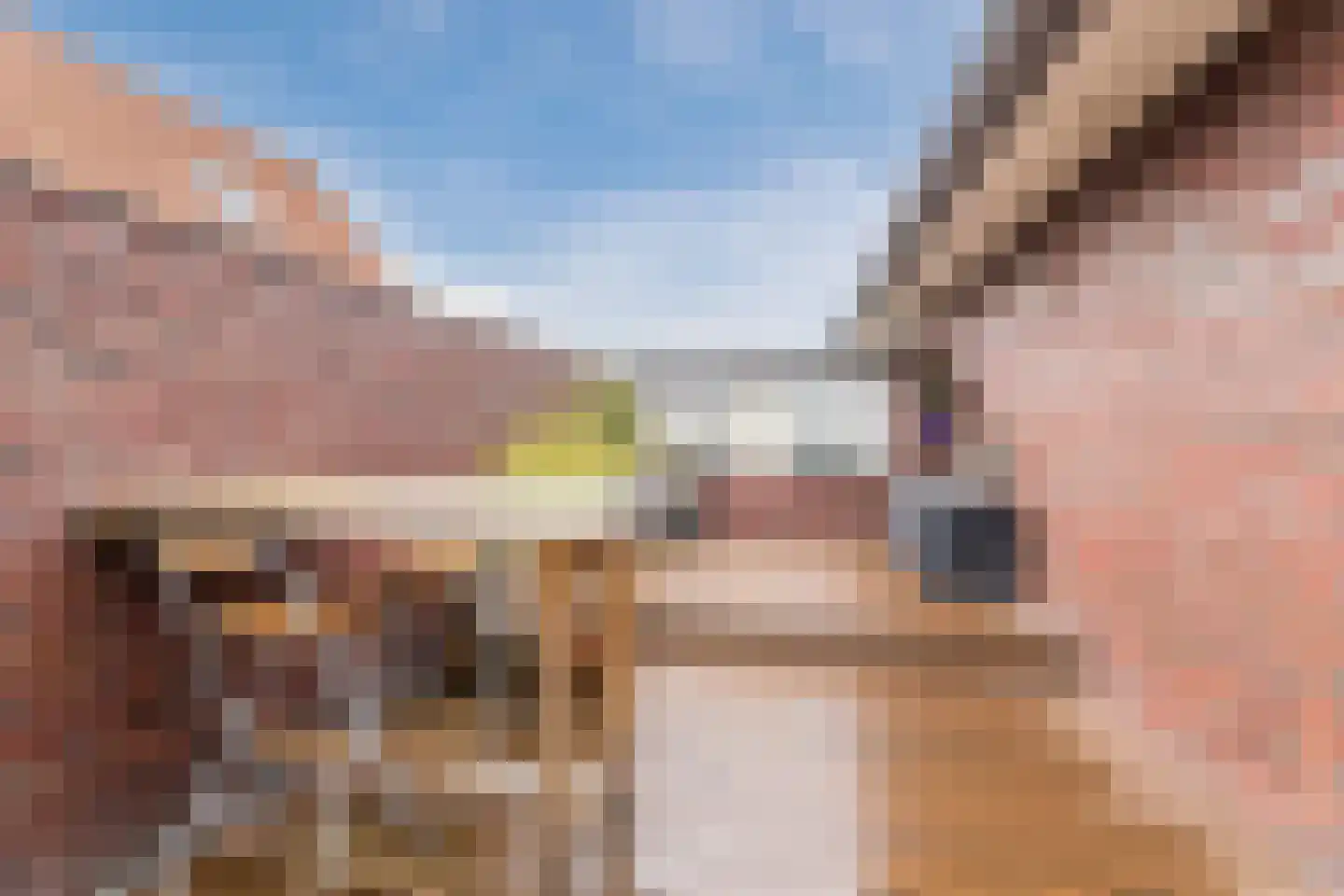 Eikenlaan 3 Ruurlo thumbnail 30
