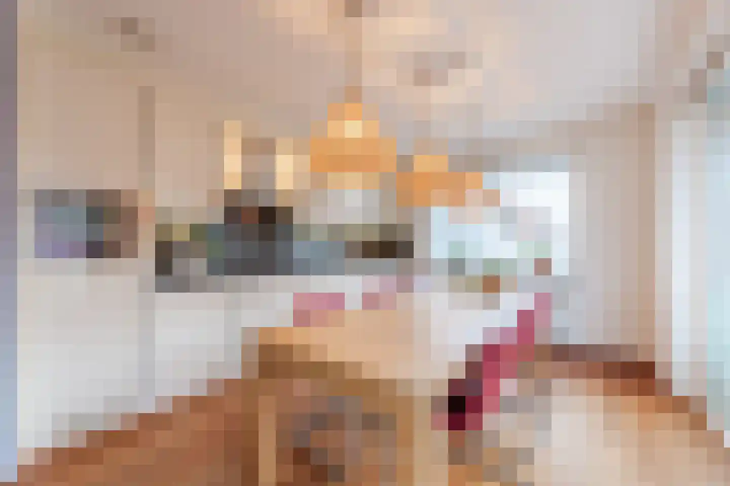 Eikenlaan 3 Ruurlo thumbnail 4