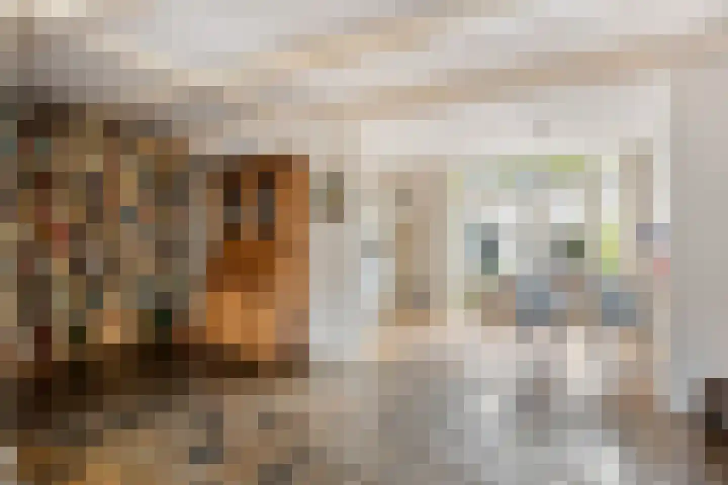 Eikenlaan 3 Sint Pancras thumbnail 21