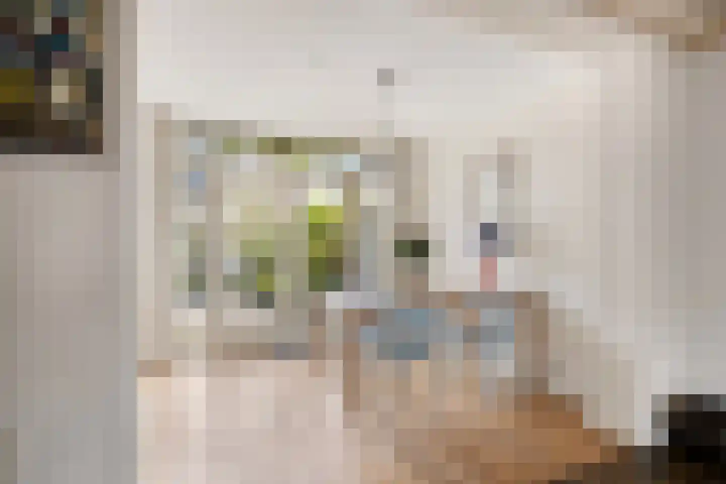 Eikenlaan 3 Sint Pancras thumbnail 22