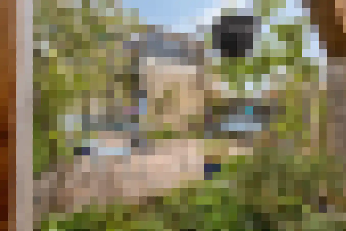 Eikenlaan 3 Sint Pancras thumbnail 33