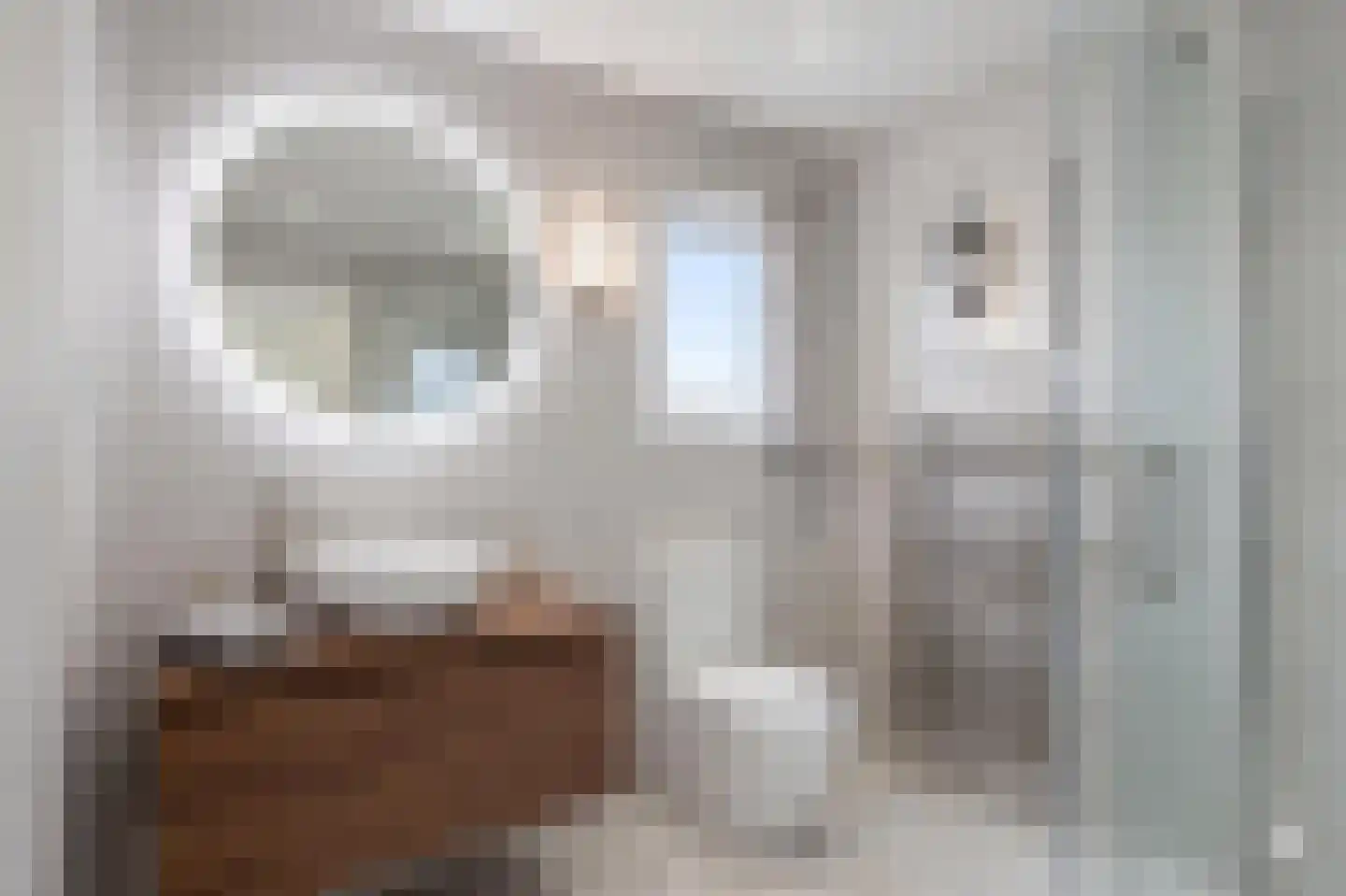 Eikenlaan 3 Sint Pancras thumbnail 40