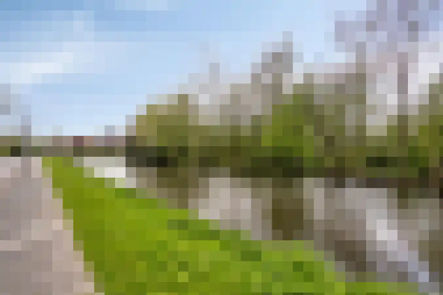 Eikenlaan 3 Sint Pancras thumbnail 50