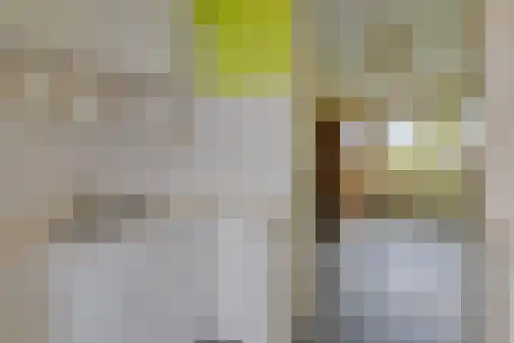 Eikenlaan 30 Sint Philipsland thumbnail 18