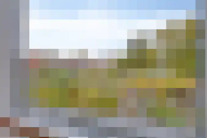 Eikenlaan 30 Sint Philipsland thumbnail 23