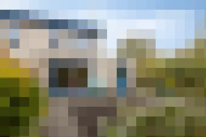 Eikenlaan 30 Sint Philipsland thumbnail 38