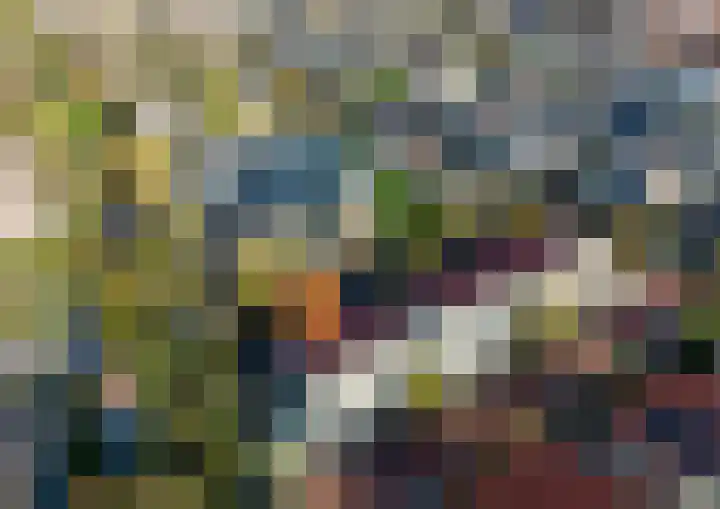 Eikenlaan 30 Sint Philipsland thumbnail 4