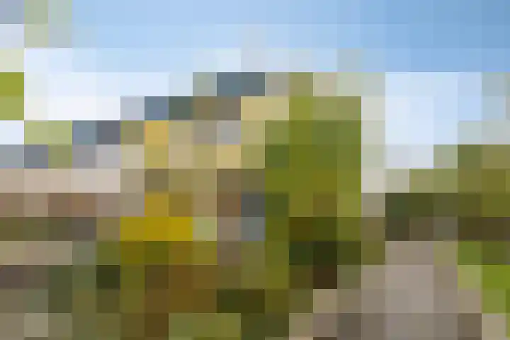 Eikenlaan 30 Sint Philipsland thumbnail 40