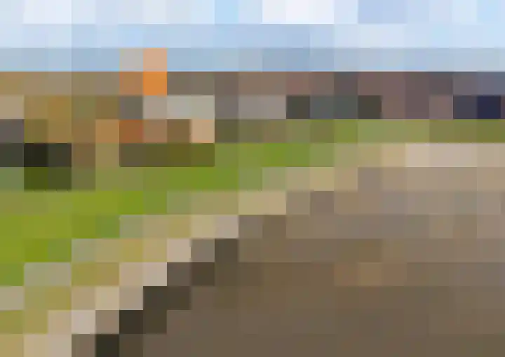 Eikenlaan 30 Sint Philipsland thumbnail 45