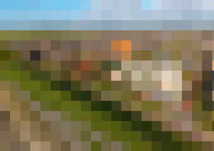 Eikenlaan 30 Sint Philipsland thumbnail 46