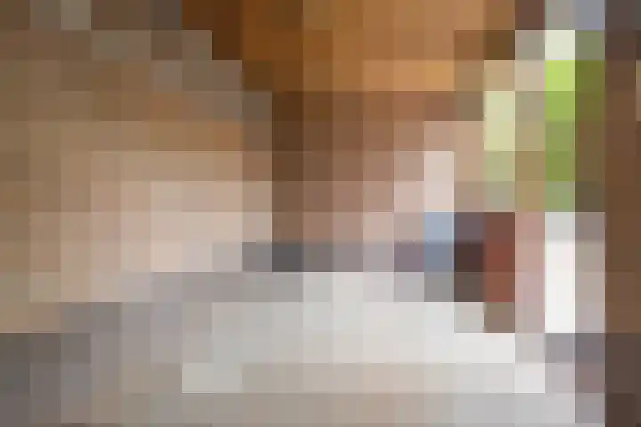 Eikenlaan 30 Soest thumbnail 32