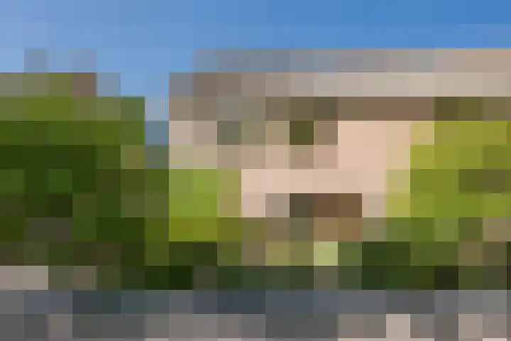 Eikenlaan 30 Soest thumbnail 33
