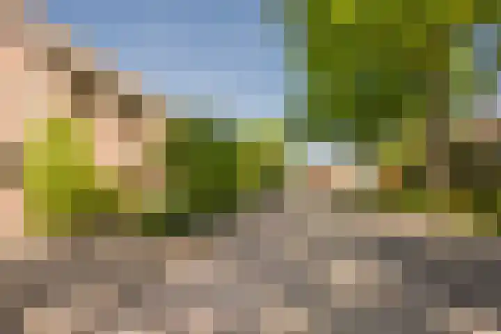Eikenlaan 30 Soest thumbnail 35