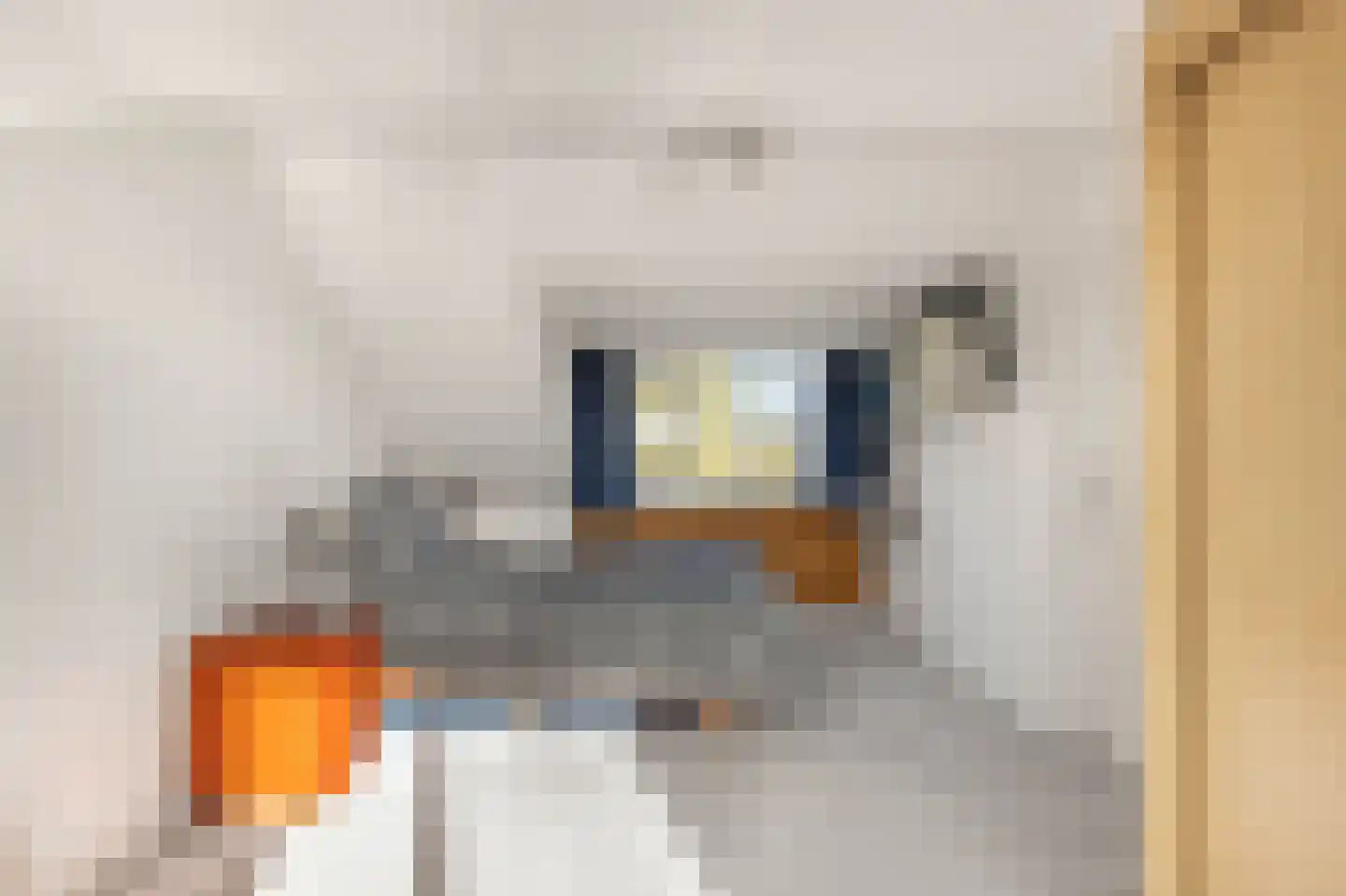 Eikenlaan 31 Heerhugowaard thumbnail 32