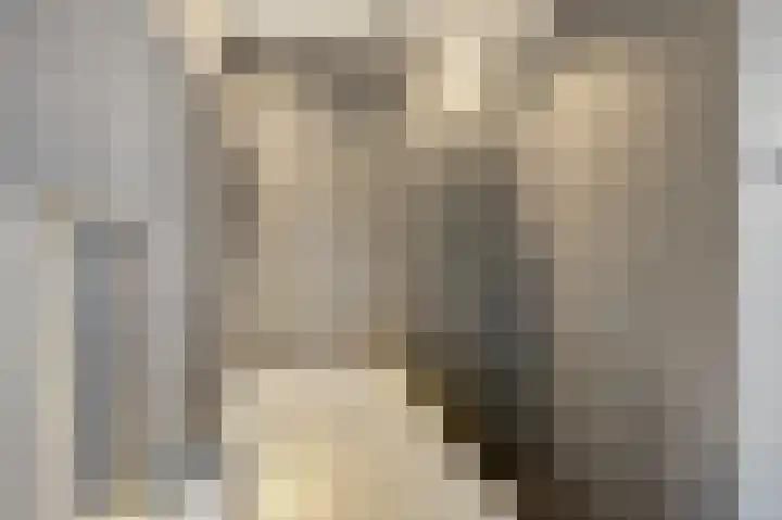 Eikenlaan 31 Molenhoek thumbnail 21