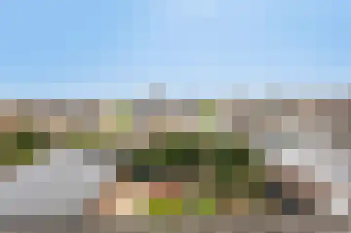 Eikenlaan 31 Molenhoek thumbnail 29