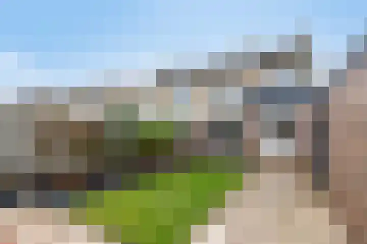 Eikenlaan 31 Molenhoek thumbnail 31