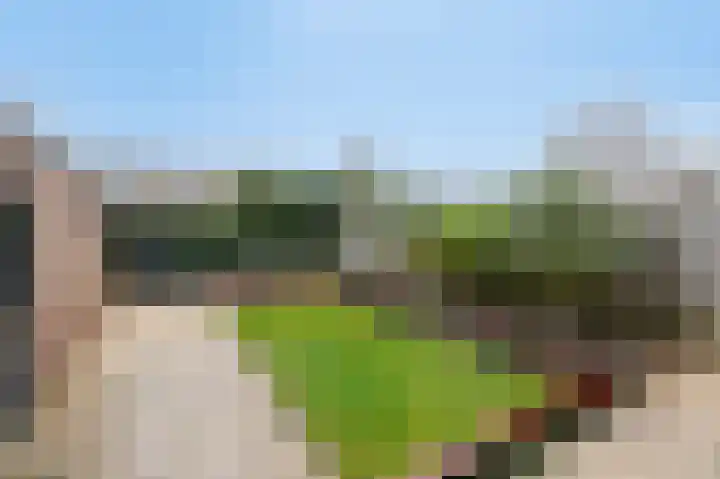 Eikenlaan 31 Molenhoek thumbnail 32