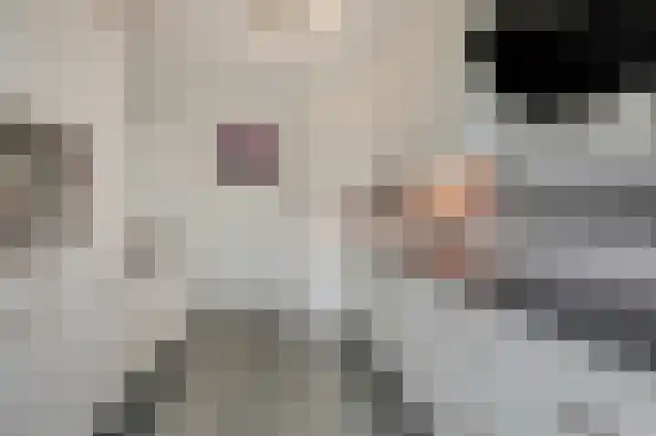Eikenlaan 31 Molenhoek thumbnail 9