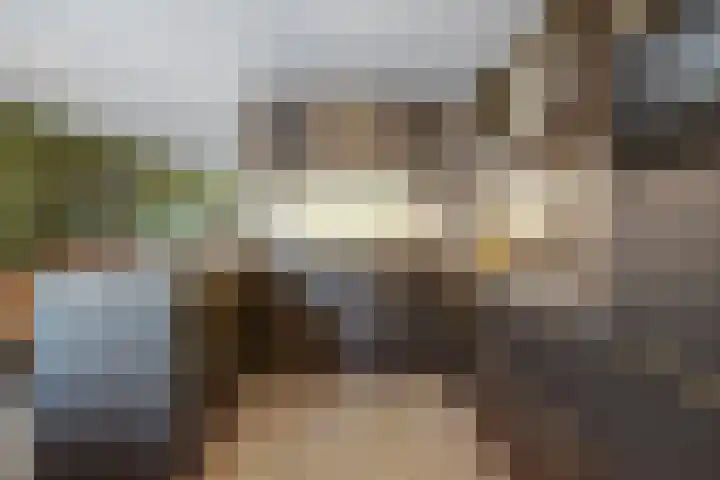 Eikenlaan 32 Asperen thumbnail 12