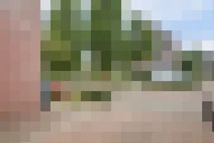 Eikenlaan 32 Asperen thumbnail 42