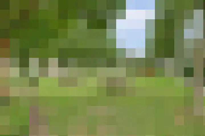 Eikenlaan 32 Asperen thumbnail 44