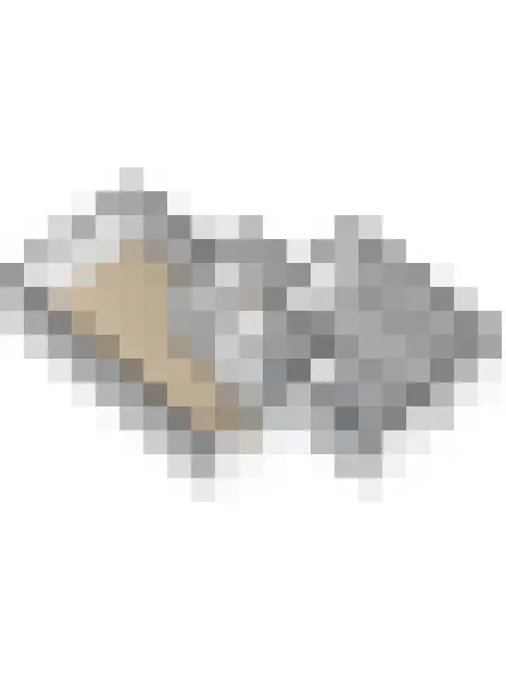 Eikenlaan 32 Asperen thumbnail 48