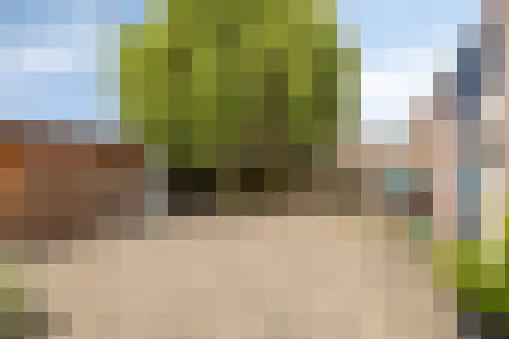Eikenlaan 32 Blijham thumbnail 34