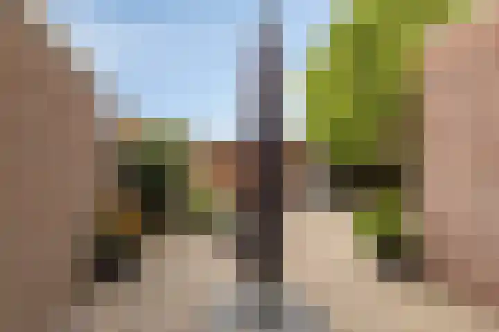 Eikenlaan 32 Blijham thumbnail 35