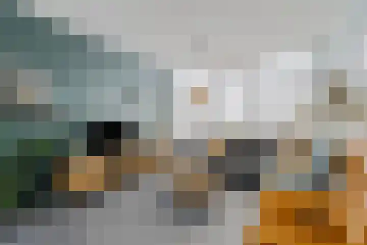 Eikenlaan 32 Blijham thumbnail 7