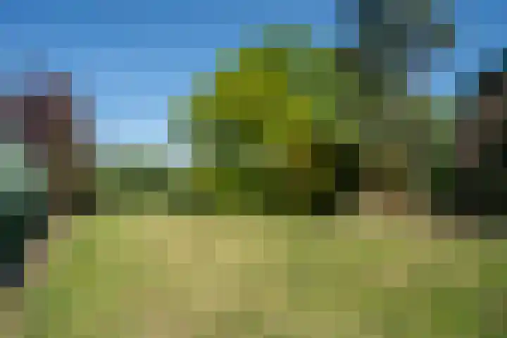 Eikenlaan 32 Langenboom thumbnail 11