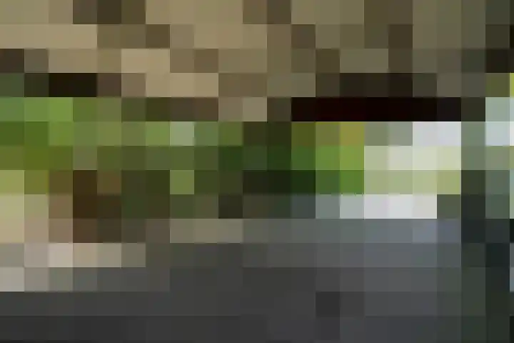 Eikenlaan 32 Langenboom thumbnail 13